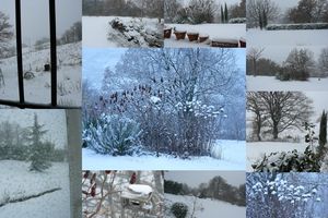 neige_janvier_2010