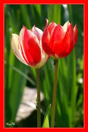 PICT8370_20