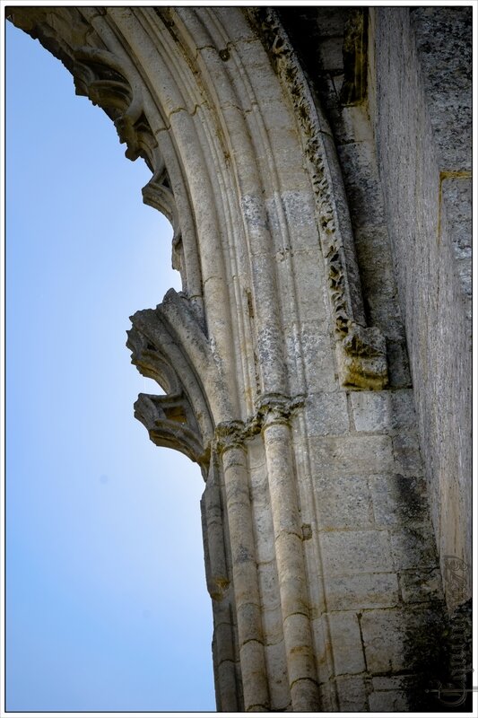 arche ruine abbaye maillezais (2)