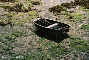 Barfleur_1100016_copie