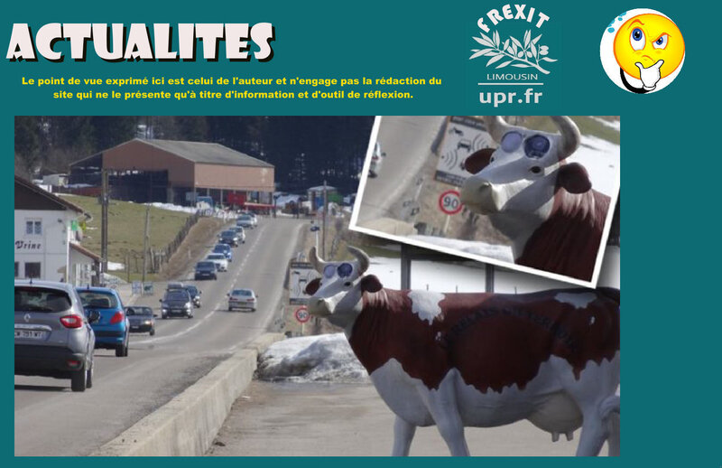ACT RADARS VACHES