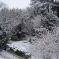 656. St Brés et Istres sous la neige!! 2009