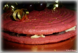 Macaron géant (2)