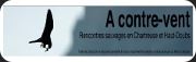 A contre vent