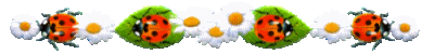 0c4cd73d