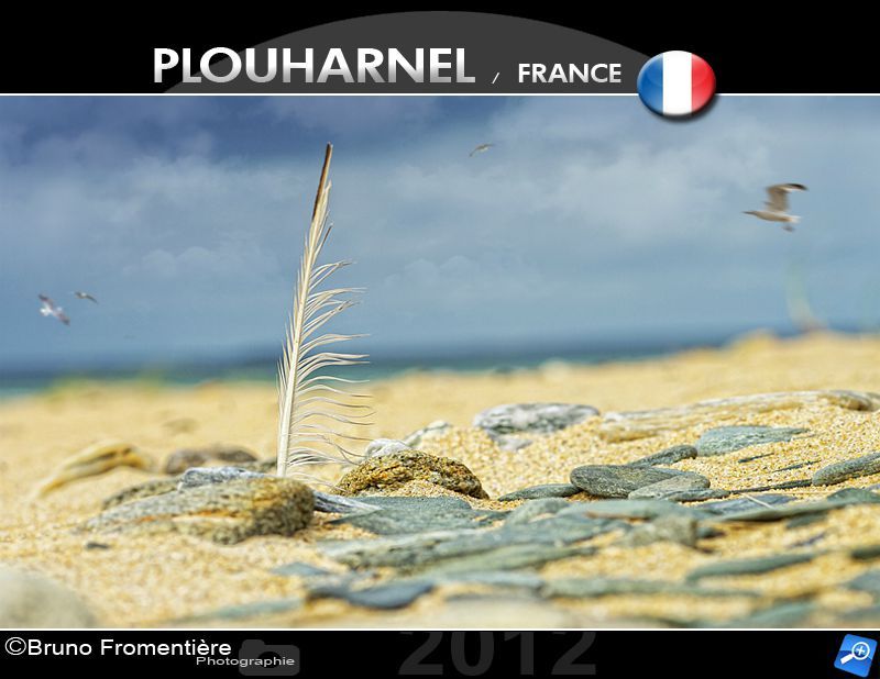 Plume 800