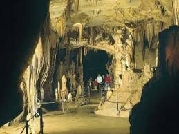 images (1)