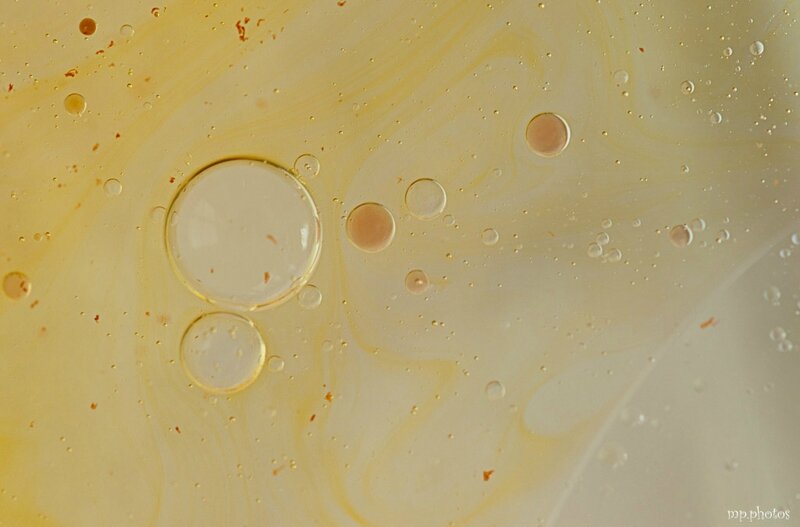 _DSC0416