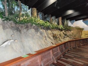 Grand Aquarium de Touraine (6)