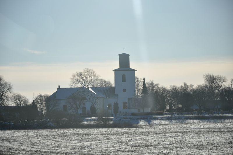 DSC_1273