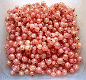 groseilles_fruits