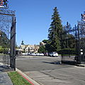 Forest Lawn
