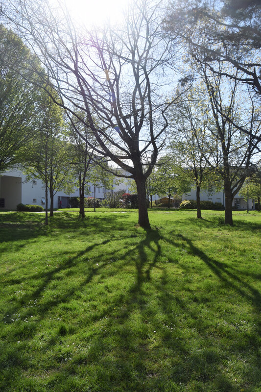 210413 Nikon 030