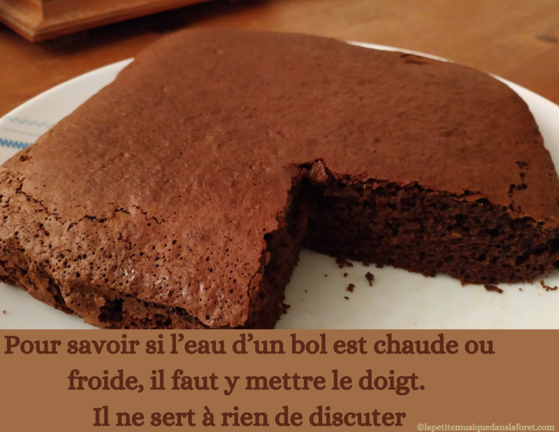 01 KOAN ZEN Pour savoir si l'eau d'un bol est chaude, il faut y mettre un doigt