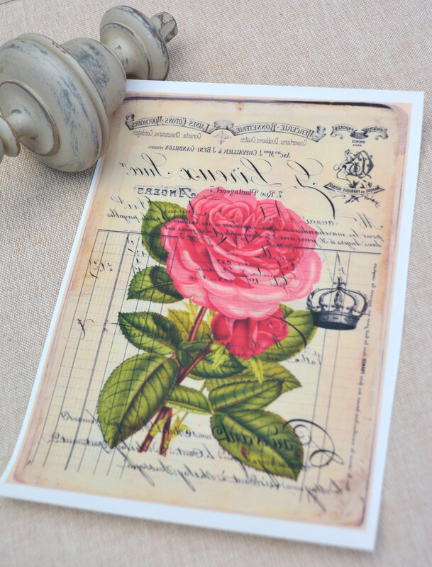 carte postale rose ancienne