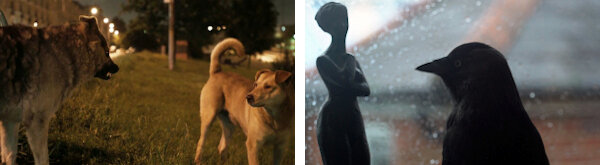 Space Dogs et Mirror Test(1)