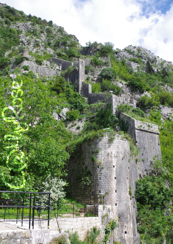 && Kotor forteresse Saint-Jean