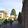 IMGP3332