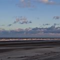 _IGP2647