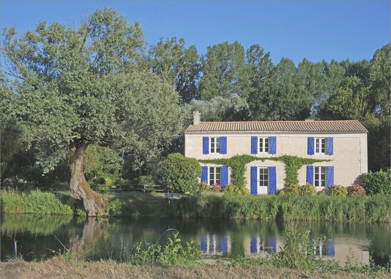 Marais Poitevin maison volets bleus arbre 090719