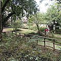 082 - Jardin sauvage Saint-Vincent