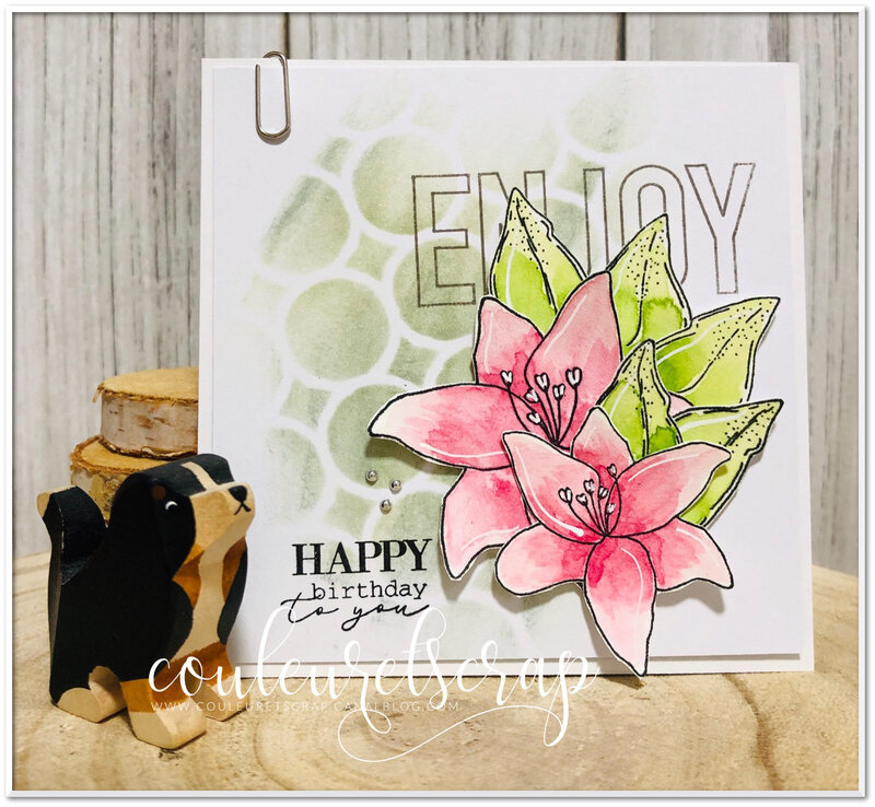 Couleuretscrap_lift_carte_anniversaire
