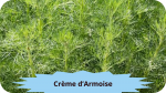 30 AARMOISE(4)Crème d'Armoise-modified