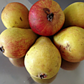 Été 14 - fruits de saison