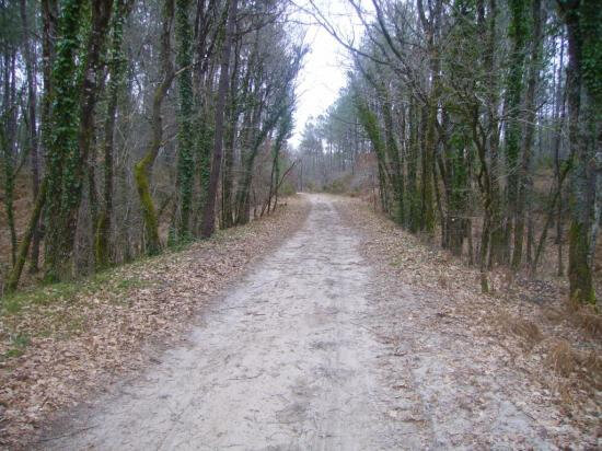 Photo-chemin-ancienne-voie-ferrée-entre-Escource-et-Jouanicot-bis
