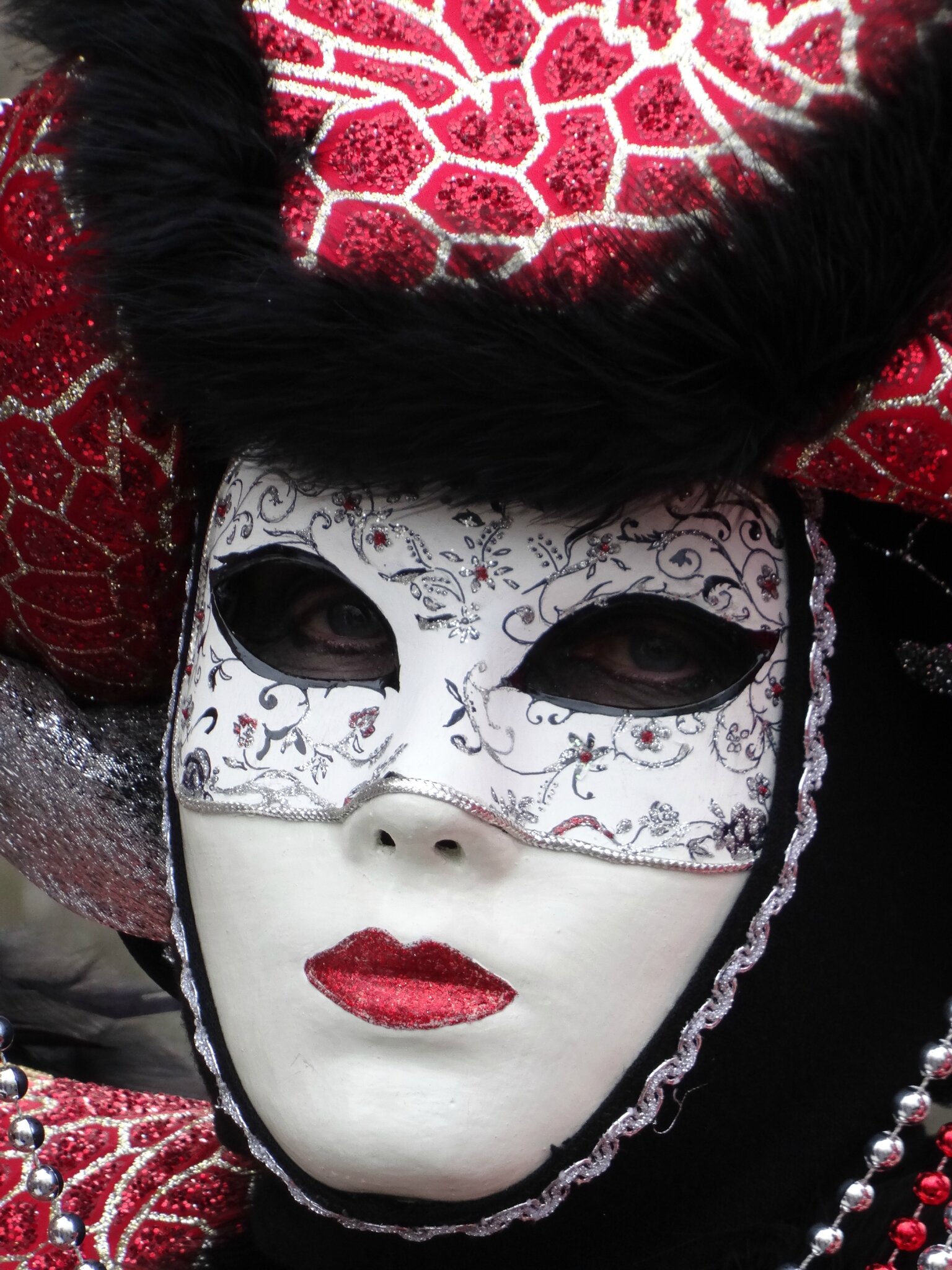 Carnaval vénitien de Castres 2016 - Filetpatch