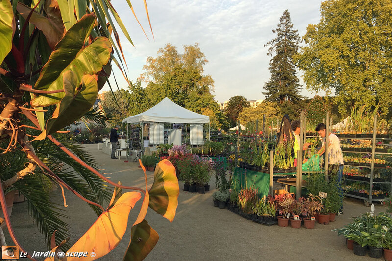 O-Jardin-des-plantes-5