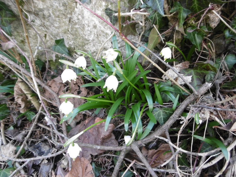 L le printemps des poètes