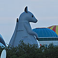 IMG_8691