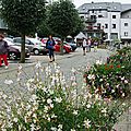 IMGP9251