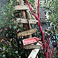 IMG_5548 - Copie