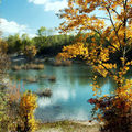 L'automne à Miribel, version 3