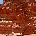 P1010558