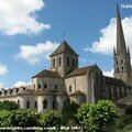 Le Poitou de Syl