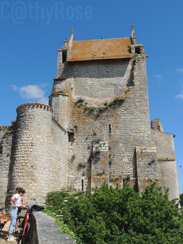château d'Harcourt (2)