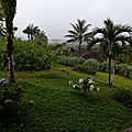 IMG_20180508_064426