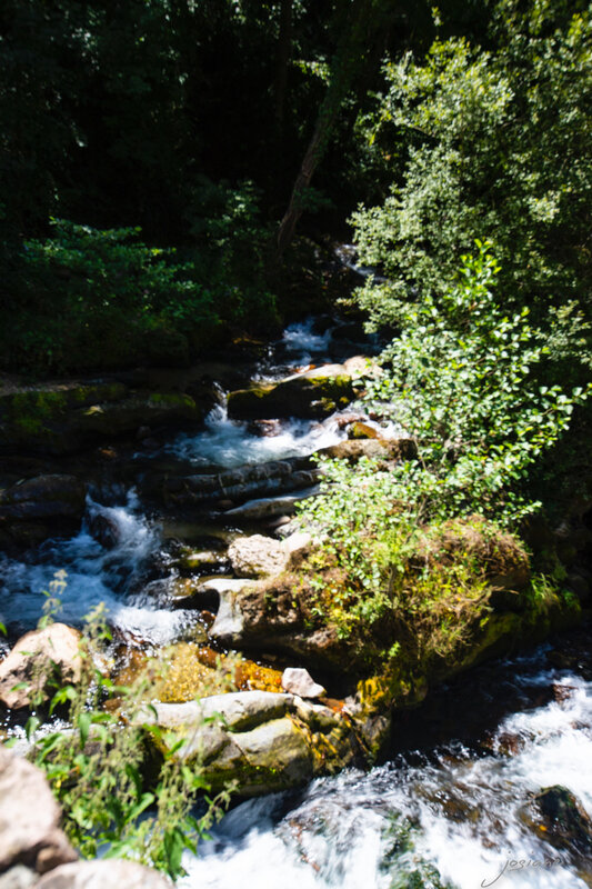 16082019-_MG_5520