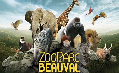 Zoo-Beauval