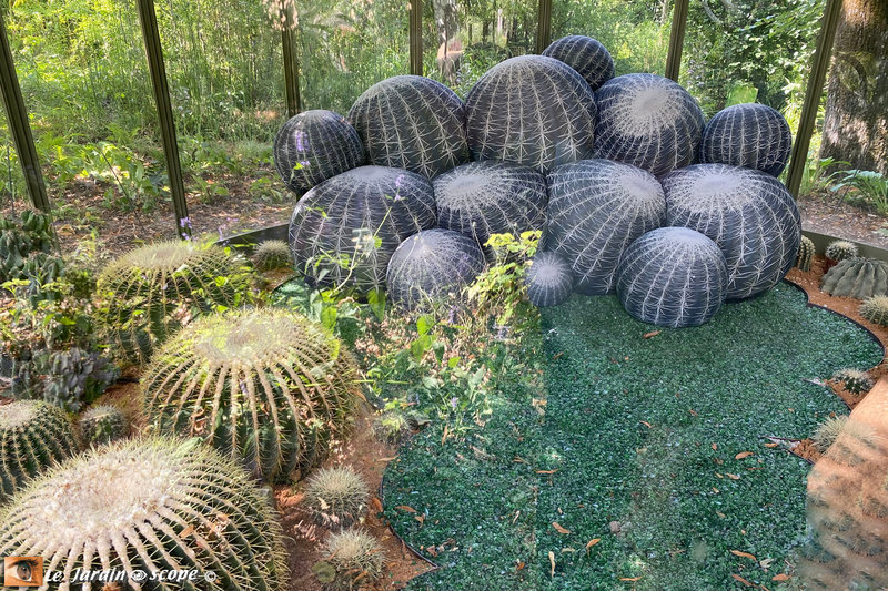 Le-sofa-Cactée