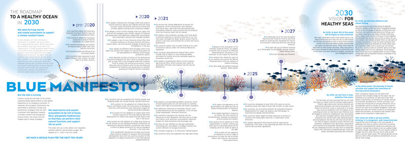 Blue Manifesto Design Timeline V1