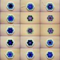 Tableau couleurs African Flowers