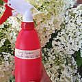 🎀 spray personnalisable hydratant capillaire hydrolat -aloé véra- glycérine 🙇