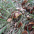 be-19-10-20-05