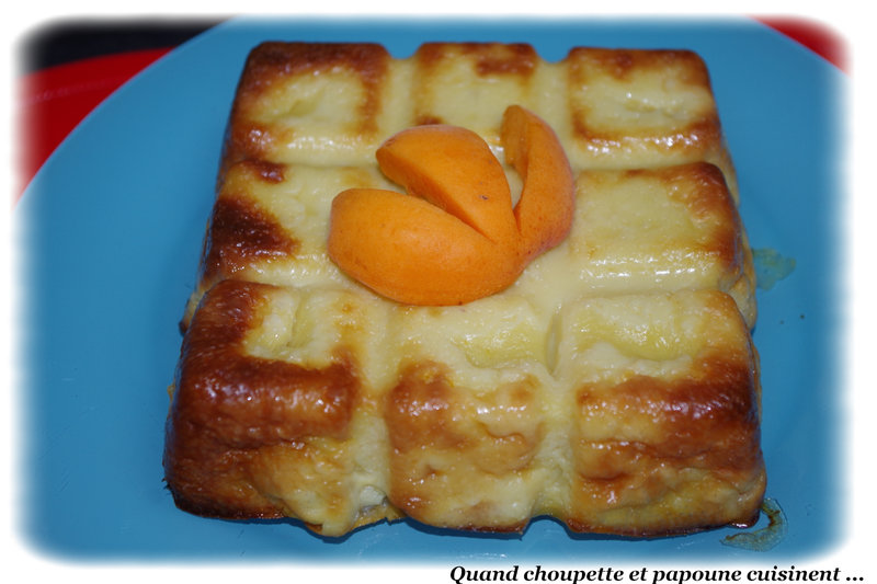 CLAFOUTIS ABRICOTS ET PECHES BLANCHES