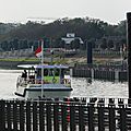 IMGP4689