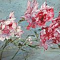 Claire Basler